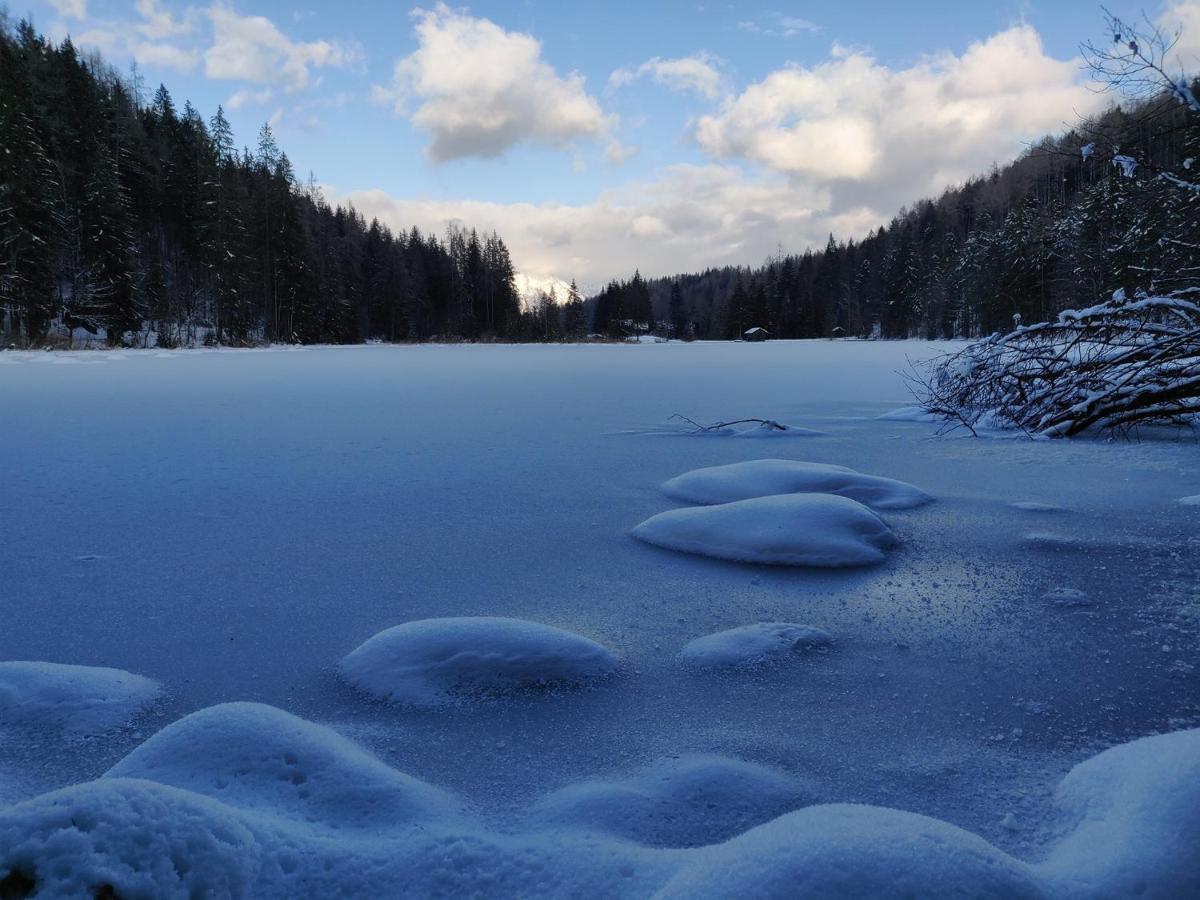 Beim Tischler Daire Vorderstoder Dış mekan fotoğraf